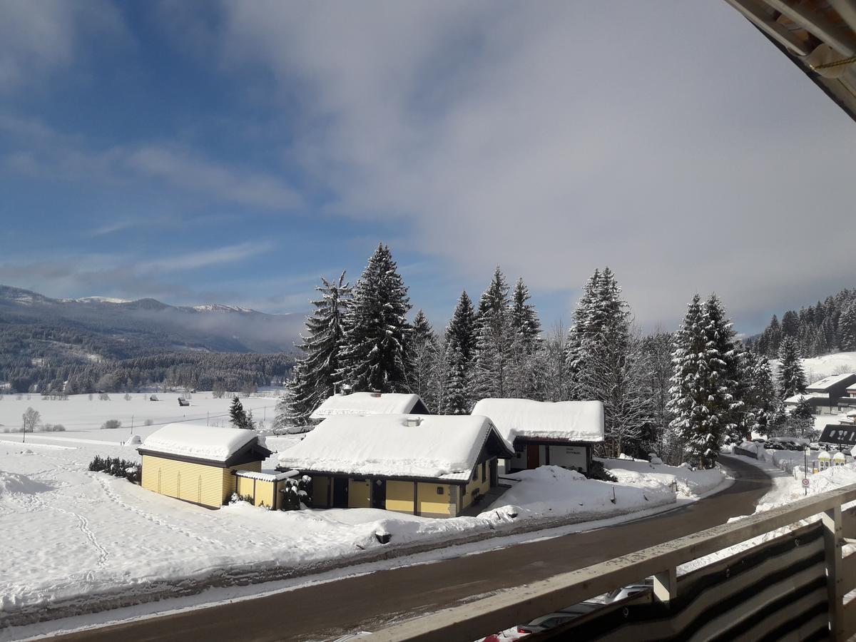 Happy Stay Apartment Bad Mitterndorf Zewnętrze zdjęcie