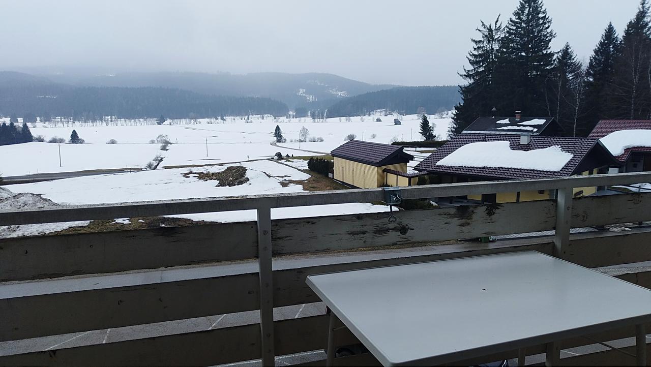 Happy Stay Apartment Bad Mitterndorf Zewnętrze zdjęcie